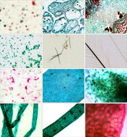 5984000-bresser-hotove-preparaty-biologi