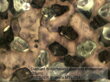 Zväčšený pohľad na diamantovú brúsku cez mikroskop Bresser Science MTL-201 50-800x