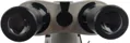 Mikroskop Omegon BINOVIEW 40-800x LED