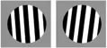 Okulár TS Optics Ronchi test (1,25in)