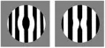 Okulár TS Optics Ronchi test (1,25in)