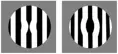 Okulár TS Optics Ronchi test (1,25in)