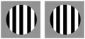 Okulár TS Optics Ronchi test (1,25in)
