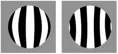 Okulár TS Optics Ronchi test (1,25in)