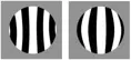 Okulár TS Optics Ronchi test (1,25in)