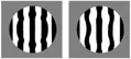 Okulár TS Optics Ronchi test (1,25in)