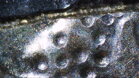 Snímka povrchu 2€ mince cez mikroskop Bresser
