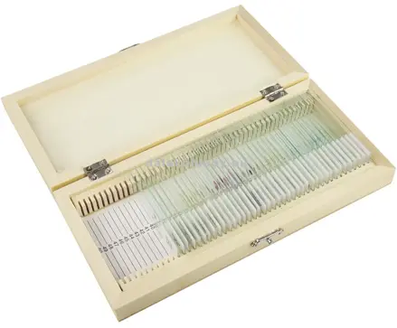 Preparáty Omegon trvalé 40ks rôzne